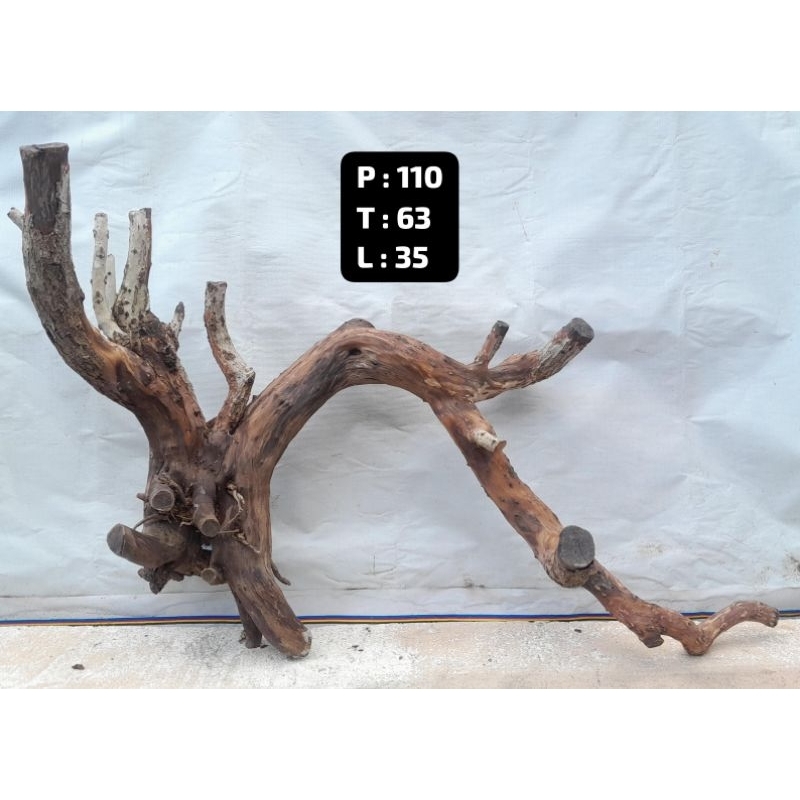 Kayu Aquascape - Kayu Santigi (Besar)