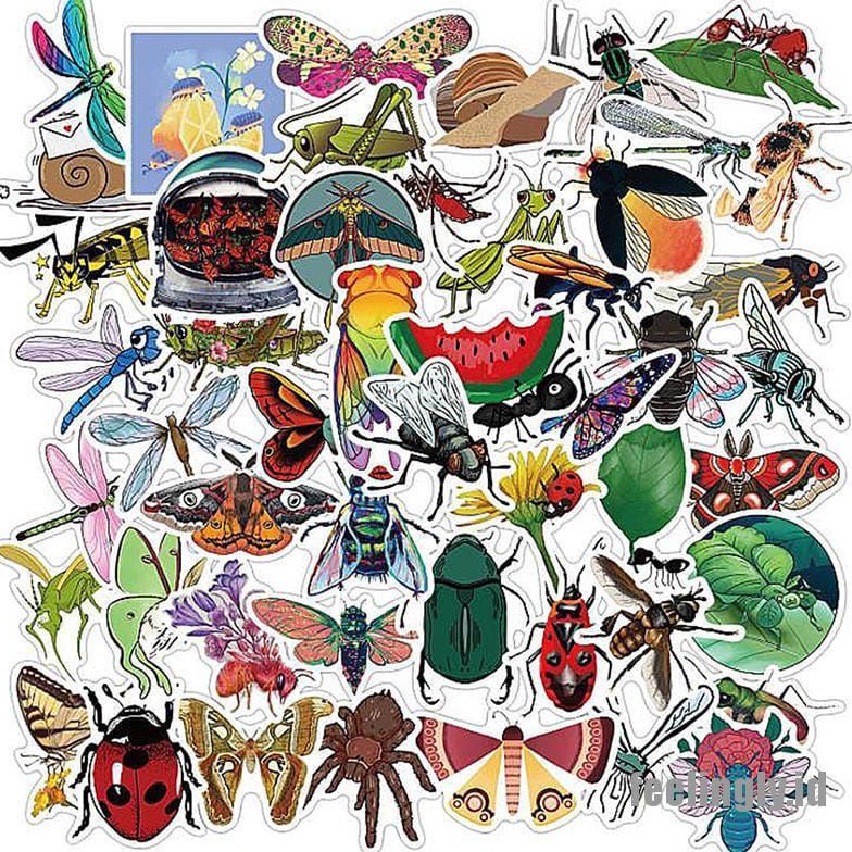 

Nyaman stiker anti air isi 5pcs untuk koleksi Berkualitas