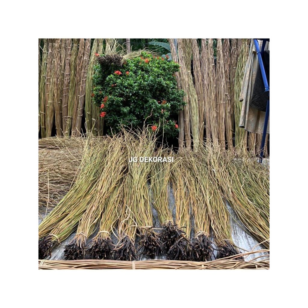 Akar Manon Kering Akar Manon Dekorasi Wedding Dekorasi Pernikahan