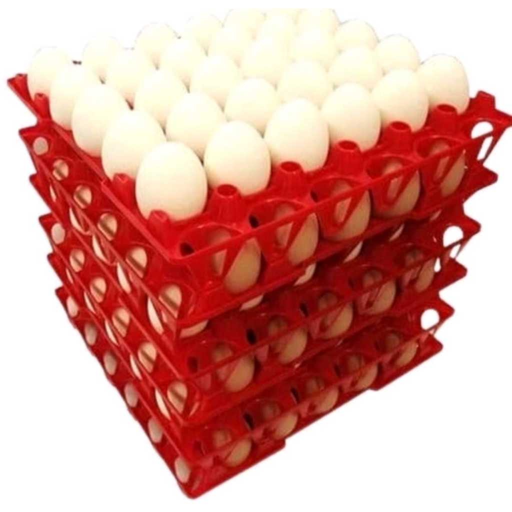 Tempat Telur Plastik Egg Tray Plastik isi 30 Butir Tatakan Telur Ayam