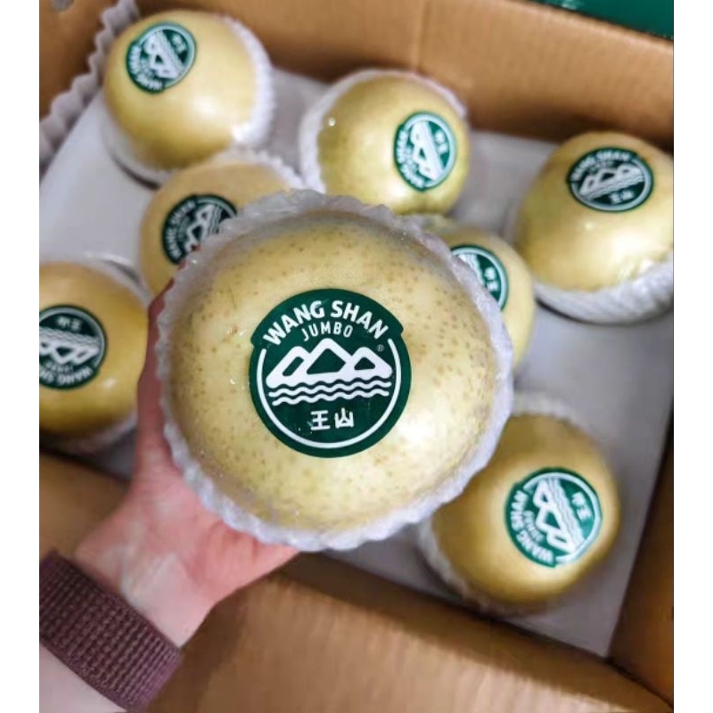 

Pear Golden Wangshan 1 kardus
