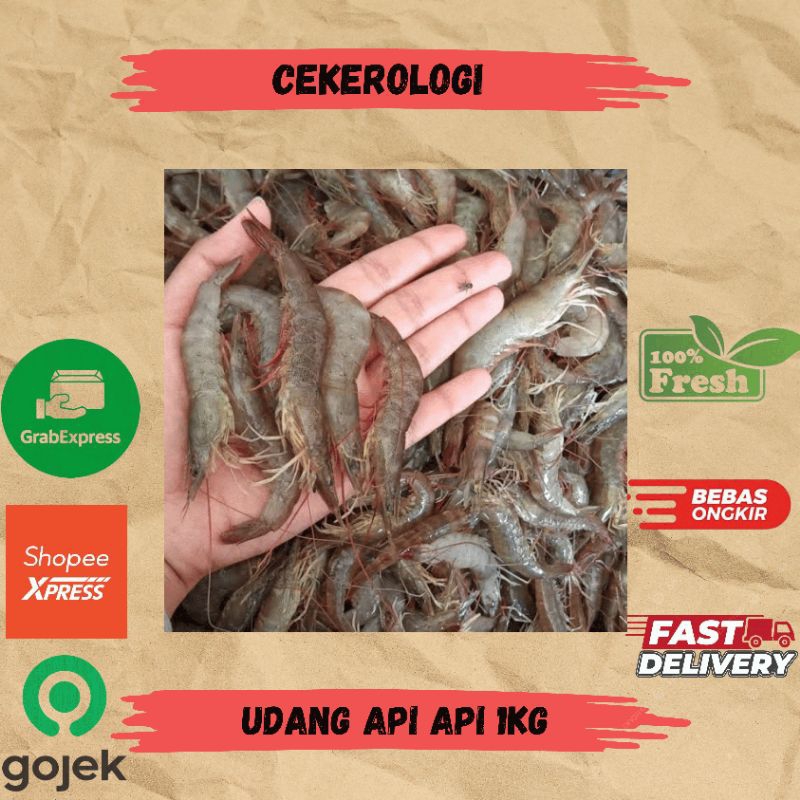 

Udang Api Api 1kg / Udang Api / Udang Api Fresh Berkualitas / JABODETABEK / Udang / Seafood Segar / Seafood