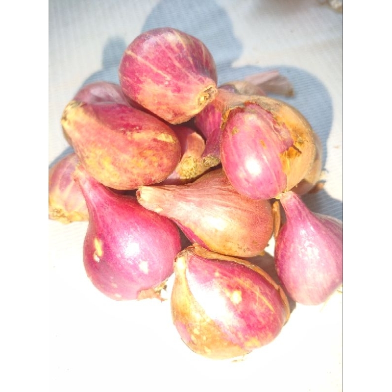 

BAWANG MERAH SEGAR PILIHAN GRADE 1 SUPER