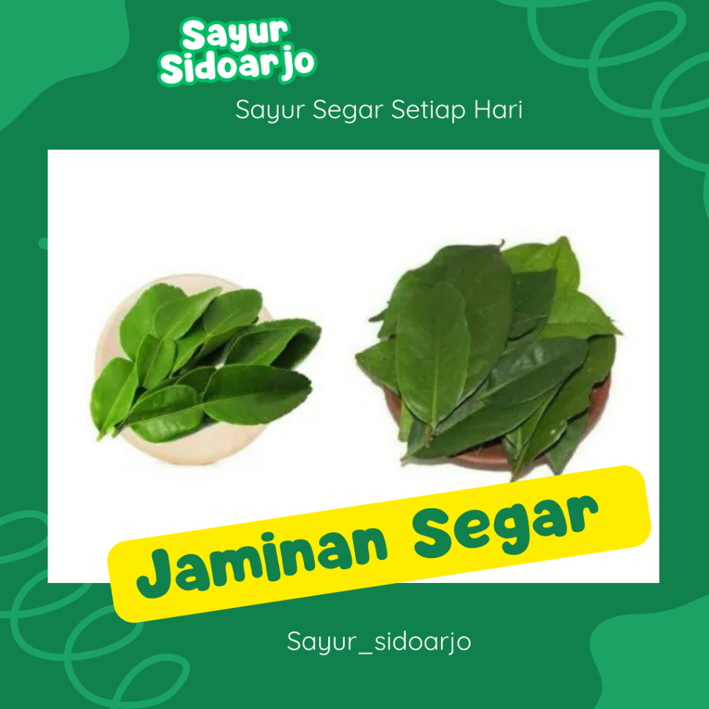 

Daun Jeruk Daun Salam