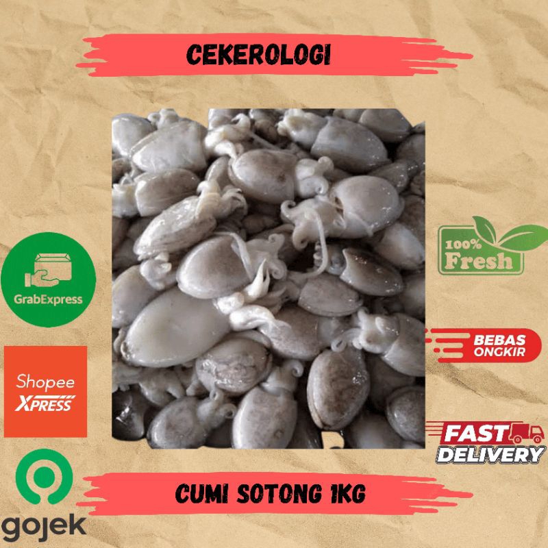 

Cumi Sotong 1kg / Cumi Sotong / Cumi Sotong Fresh Berkualitas / JABODETABEK / Seafood Segar / Seafood / Cumi