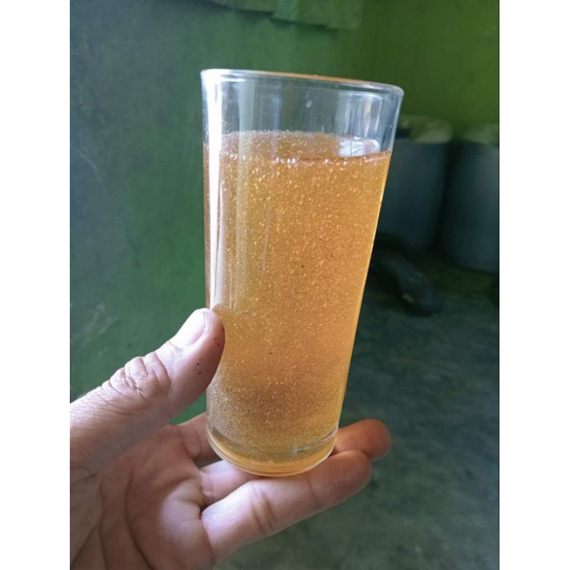 

Madu asli murni lebah hutan sumatera