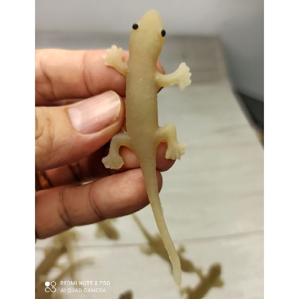 COD mainan karet cicak panjang mirip asli Berkualitas
