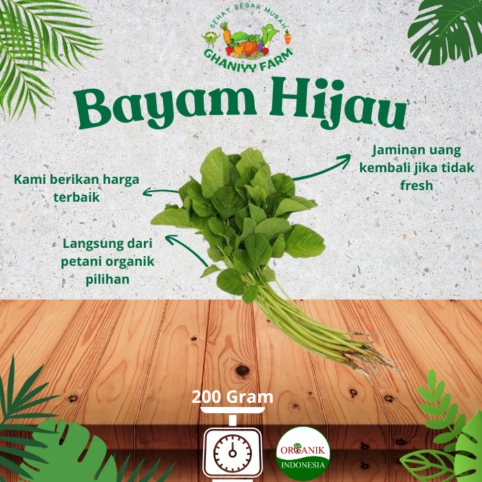 

Sayur Organik Bayam Organik 200Gram