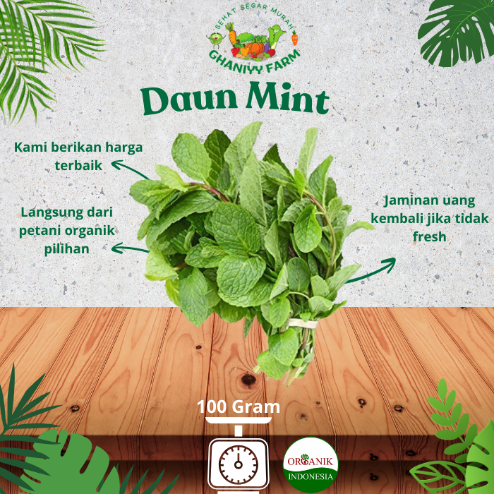 

Sayur Organik Daun Mint Organik 100 Gram