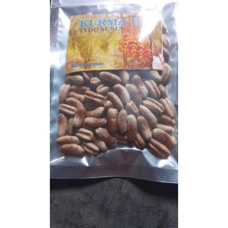 BIJI BENIH KURMA TROPIS INDONESIA JENIS H1 YELLOW