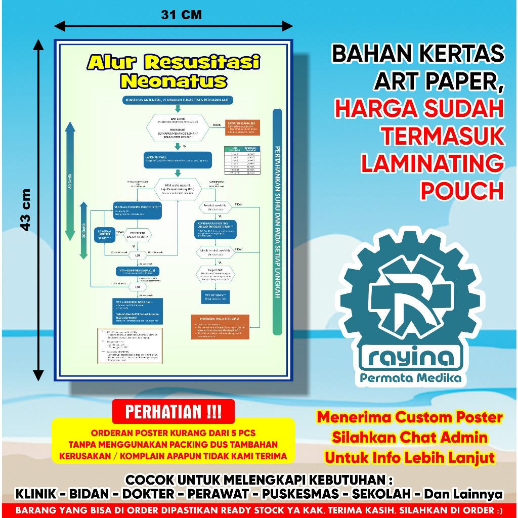 Poster Kesehatan Alur Resusitasi Neonatus