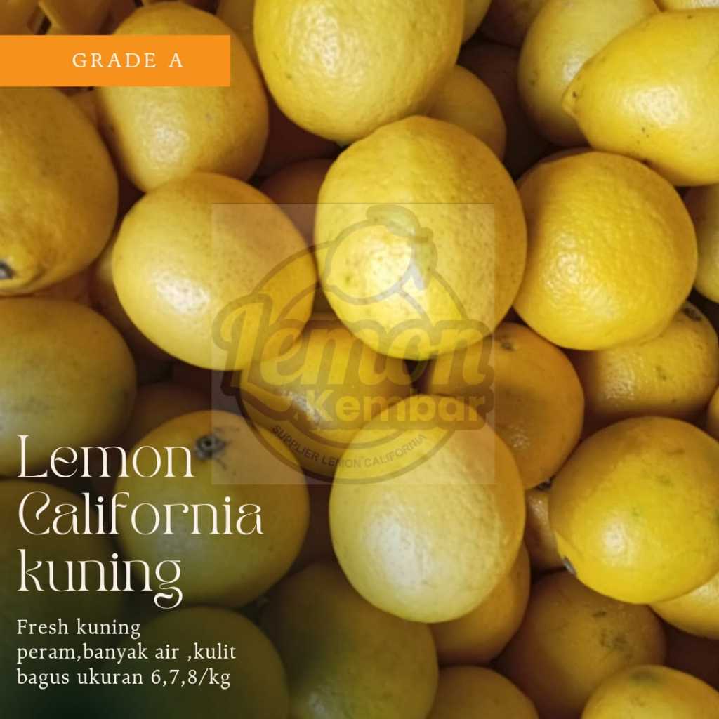 

JERUK LEMON CALIFORNIA GRADE A 1KG / JERUK LEMON SUPER / LEMON CALIFORNIA /LEMON ASLI