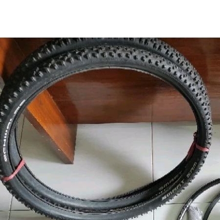 Ban schwalbe smart sam