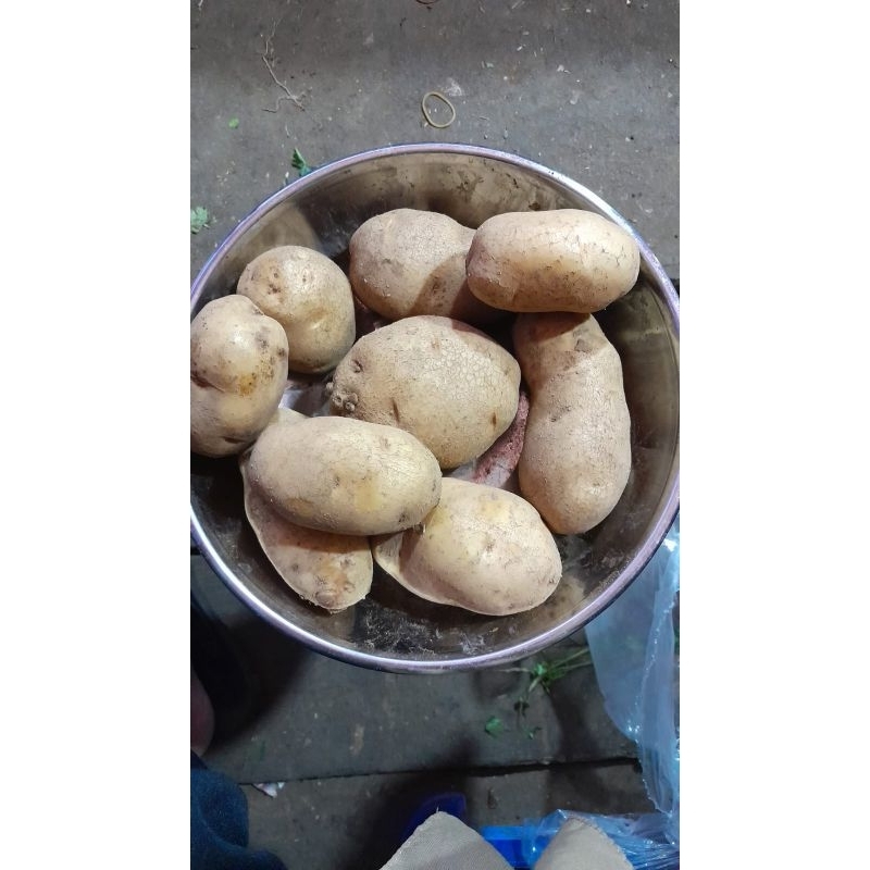 

kentang daerah besar 1kg