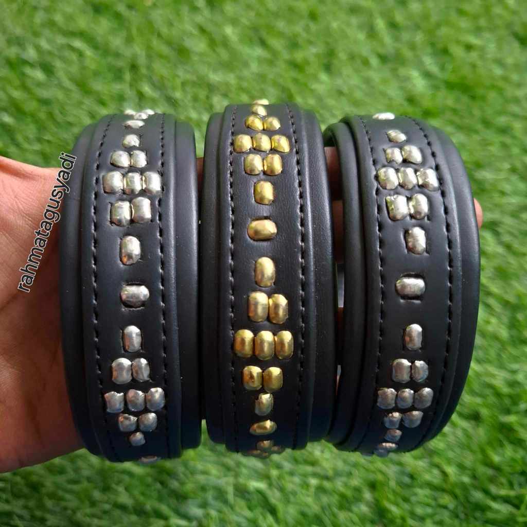 Kalung anjing besar