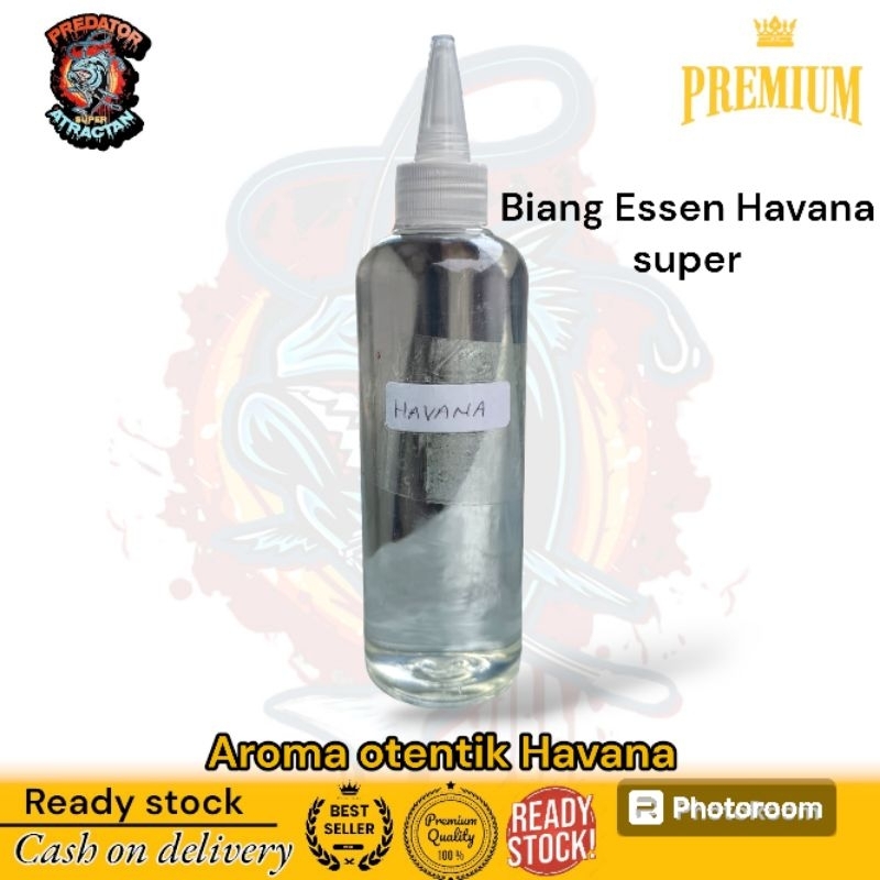 Biang Essen "HAVANA" super kualitas terbaik biang Essen import Australia