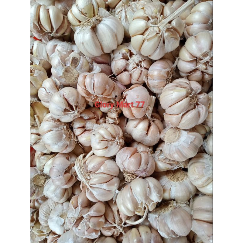 

BAWANG PUTIH PREMIUM