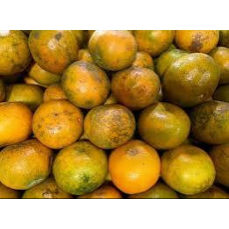 

jeruk manis ( tersedia paketan)