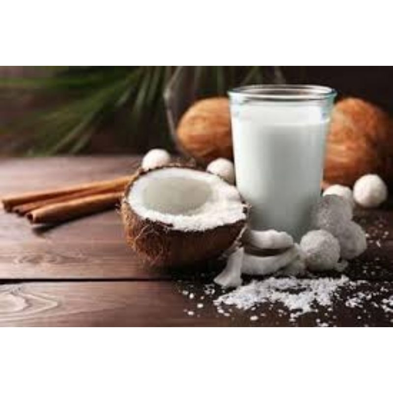 

santan kelapa