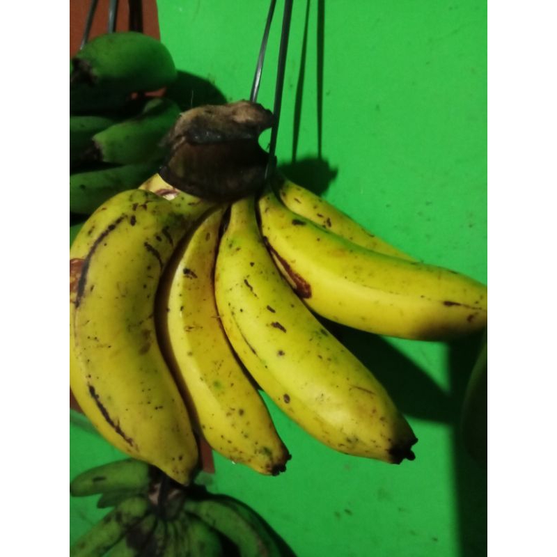 

pisang blitung