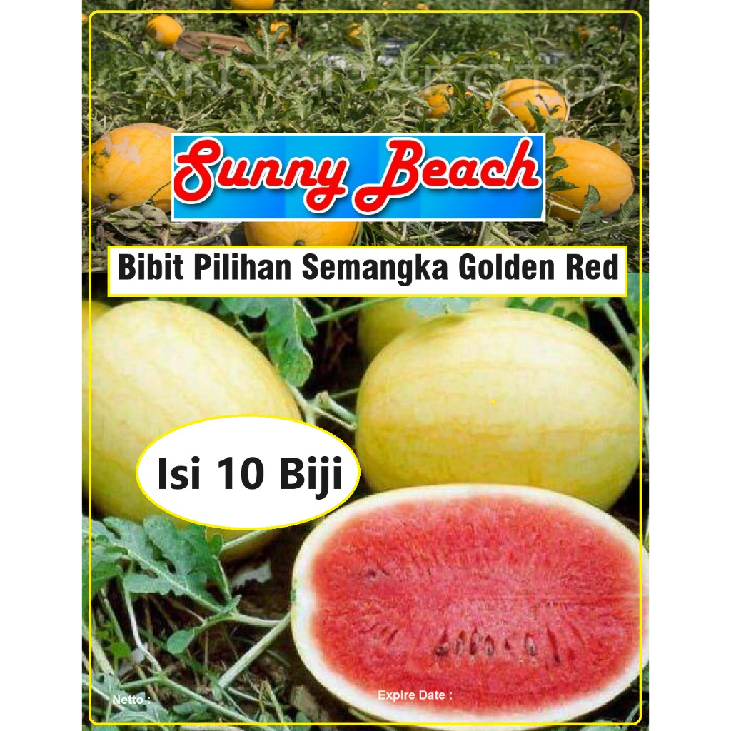 Bibit Pilihan Semangka Golden Red | Biji Benih Semangka Kuning Merah