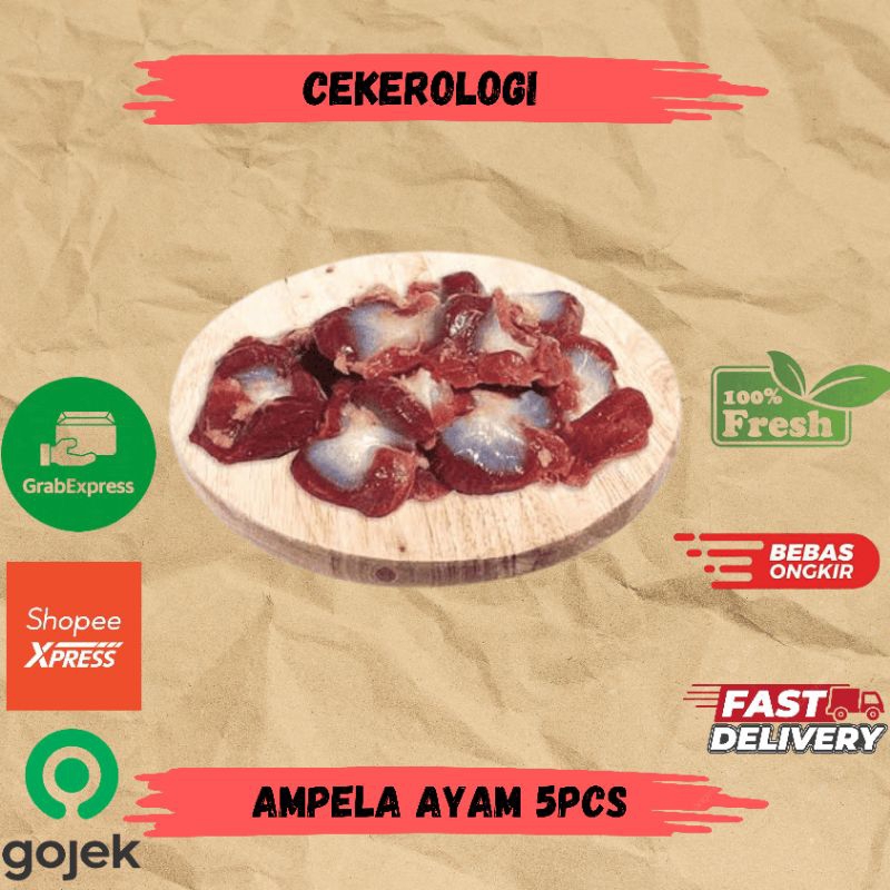 

Ampela Ayam 5pcs / Ampela Ayam / Ampela / Ampela Ayam Fresh Berkualitas / JABODETABEK / Daging Ayam / Ayam