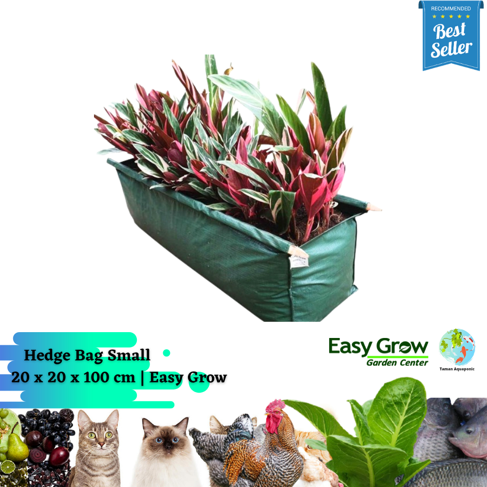 RK Hedge Planter Bag Small