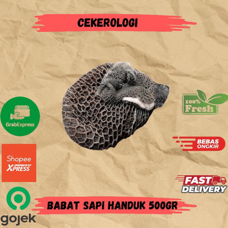 

Babat Sapi Handuk 500gr / Babat Sapi Handuk / Babat Sapi / Babat Sapi Fresh Berkualitas / JABODETABEK / Babat / Daging Sapi / Sapi