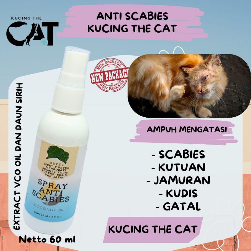 Obat Scabies Kucing - Spray Jamur Kucing - Obat Luka Jamur Kucing Dan Mengusir Kutu