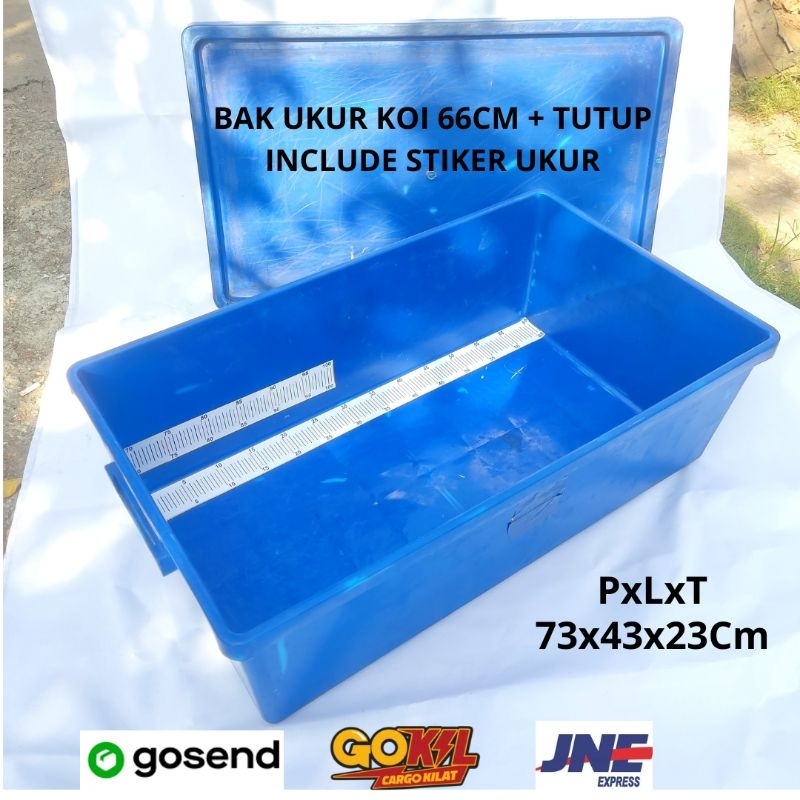 BAK UKUR IKAN KOI 66CM + TUTUP BOX DAN STIKER UKUR ANTI AIR 73x43x23CM BAHAN PLASTIK BOX REPTIL IKAN