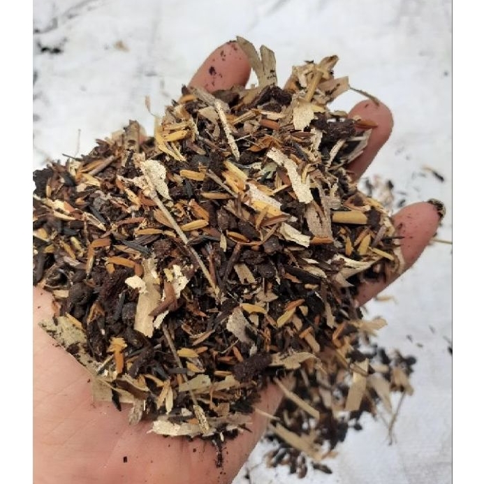 media tanam super / media tanam aglonema / media tanam aglonema premium/ media tanam tanaman hias / 