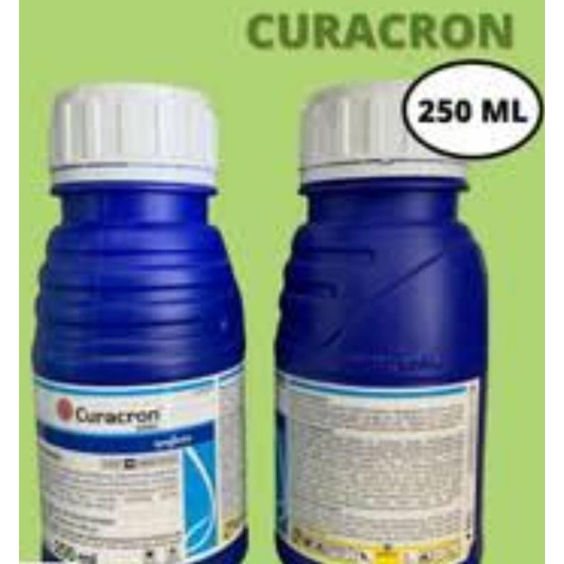 Curacron Insektisida