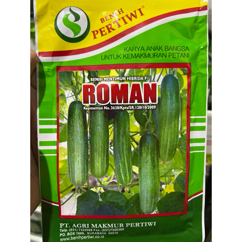 Benih bibit timun ROMAN 10 gram ketimun hibrida dari benih pertiwi