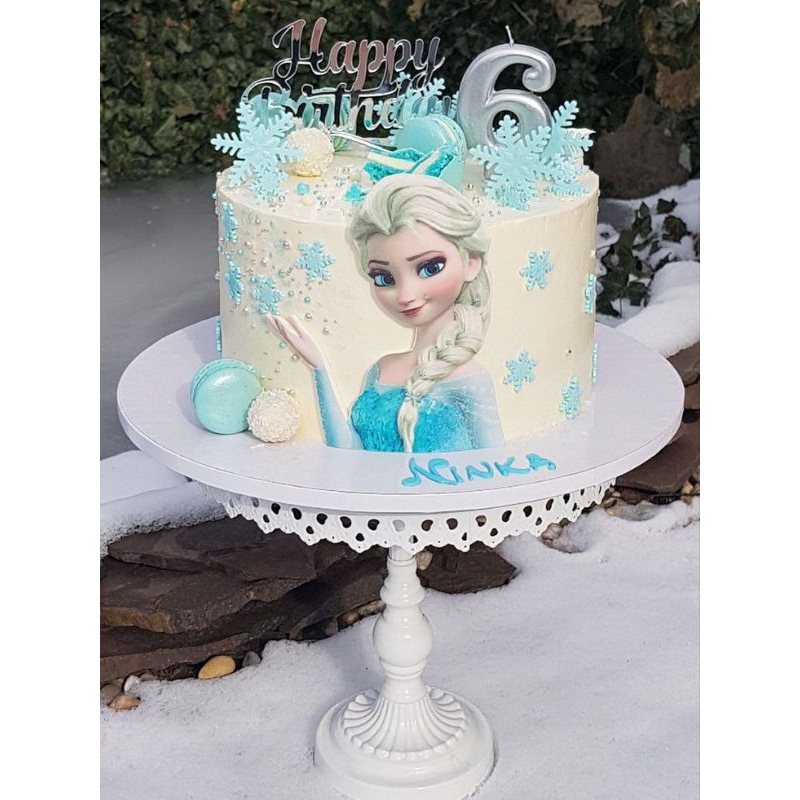 

frozen cake birthday