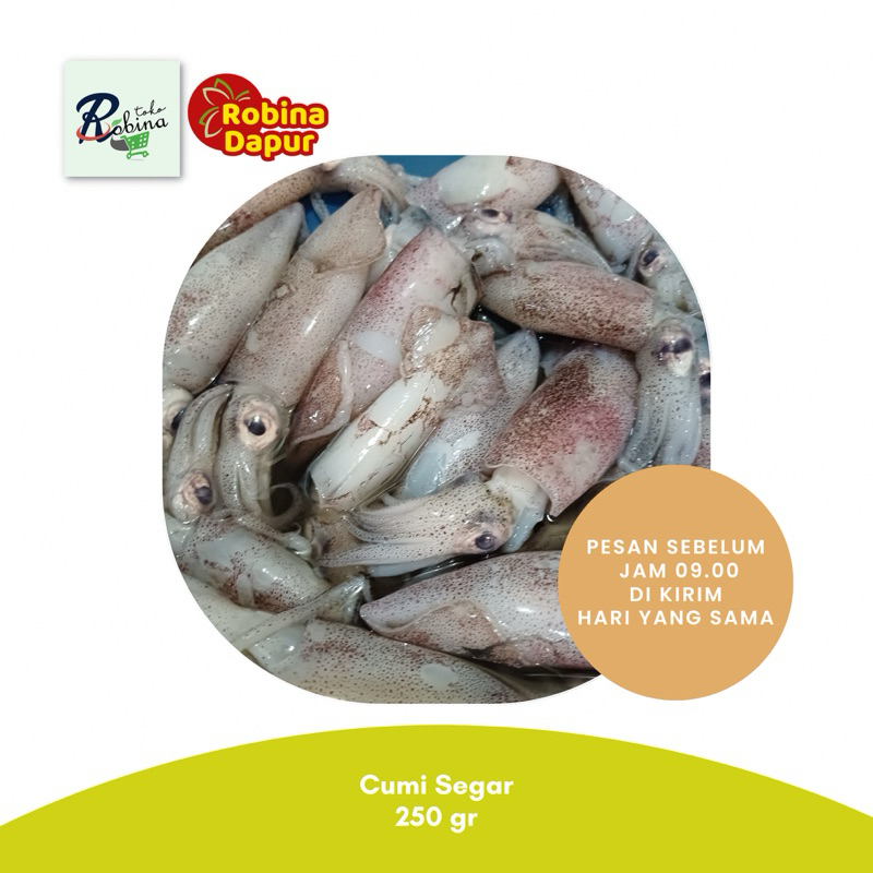 

Bandung Ikan Cumi Segar 250 gr