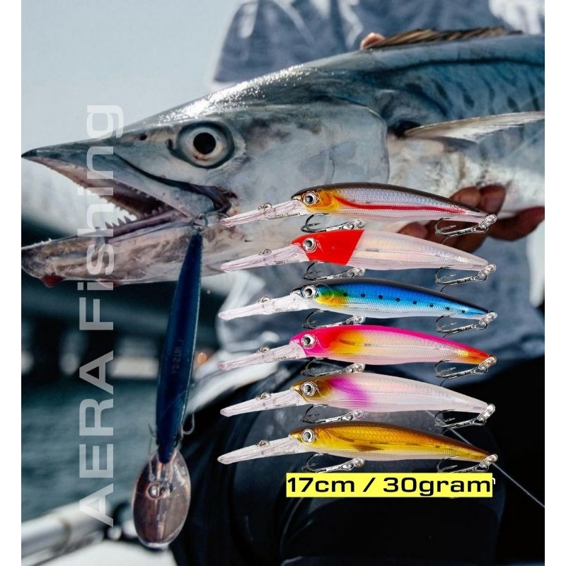 Minnow Lure Trolling Tuna Tenggiri 30gr Big Game