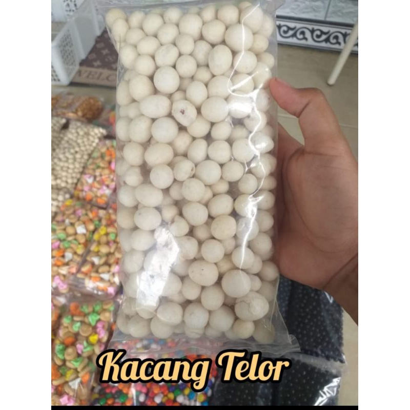 

Kacang Telor