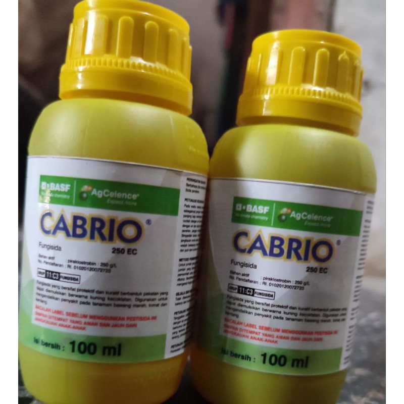 CABRIO 250 EC 100ml