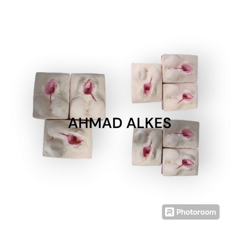 Phantom Episiotomy | Manekin Episiotomi | Alat Peraga Akper/Akbid/Stikes |Phantom Episiotomy |genera