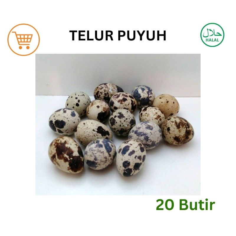 

Telur puyuh 1 bungkus isi 20 butir