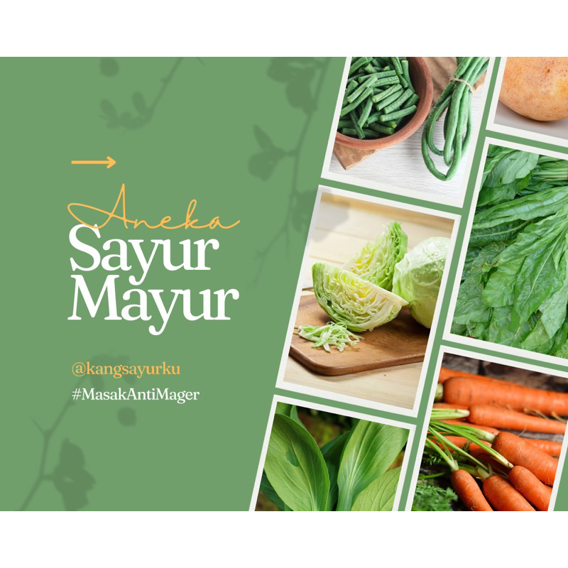 

Aneka Sayur Sayuran / Sayur Mayur / Bawang Merah Putih / Sawi Pakcoy