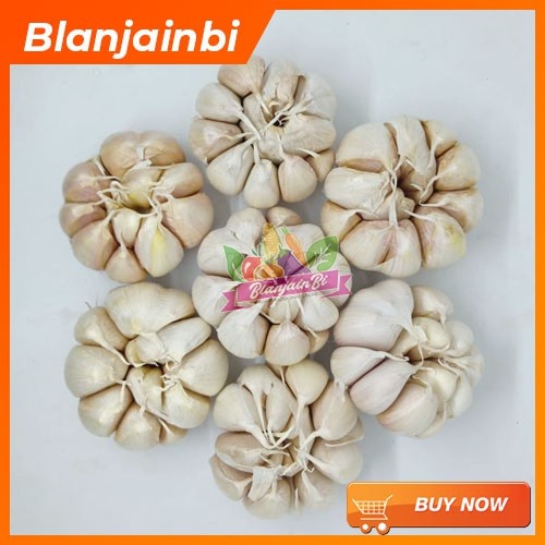 

Bawang Putih Segar 100 gram