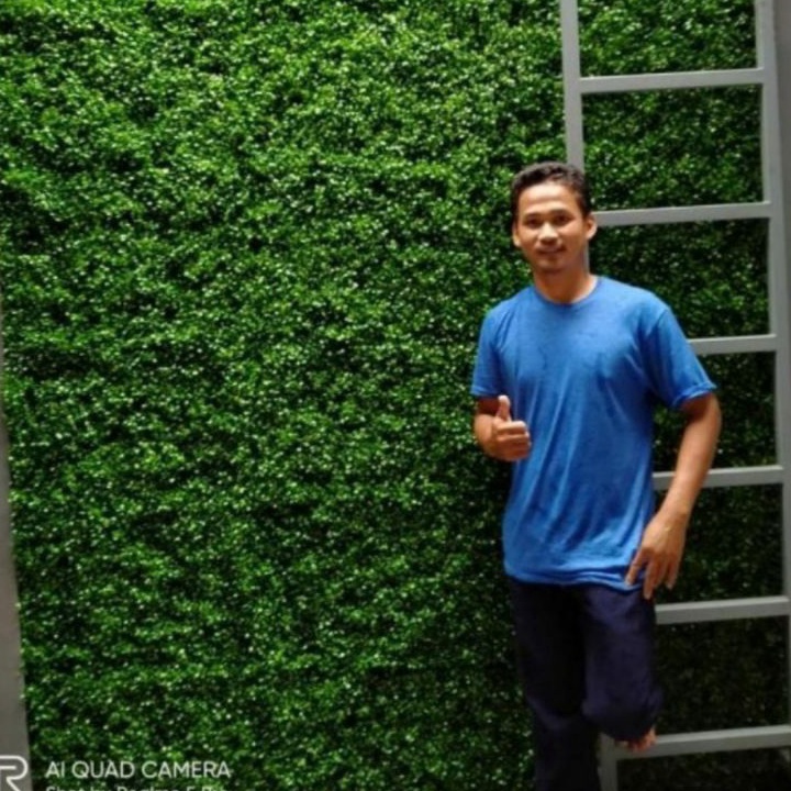 DAUN RAMBAT DOLAR DAUN SINTETIS 4X6 CM DAUN PLASTIK TANAMAN SINTETIS TANAMAN DINDING RUMPUT DINDING 