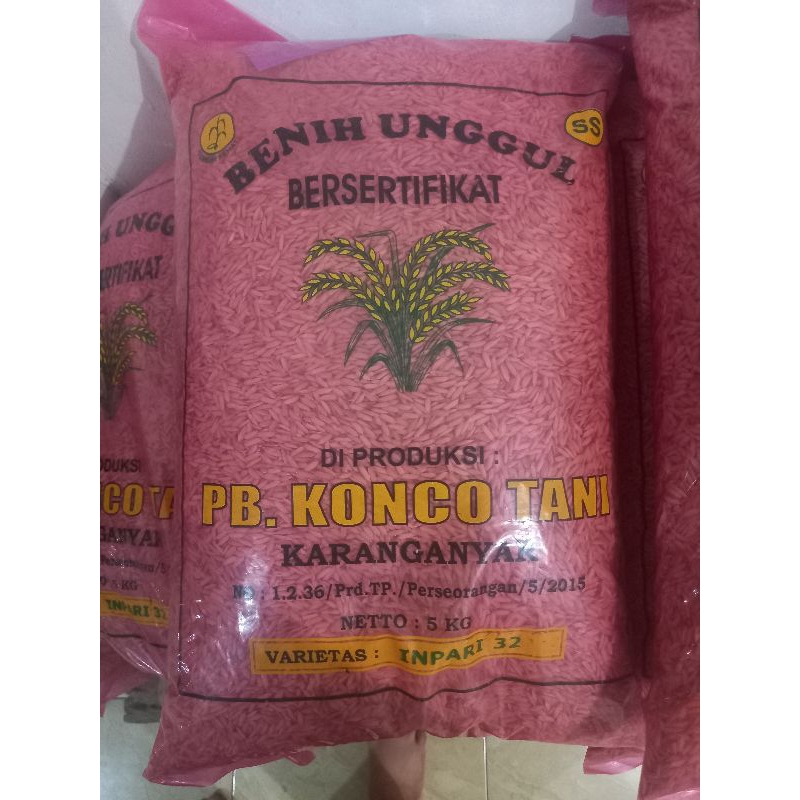 Benih Padi Inpari 32 Super 5KG