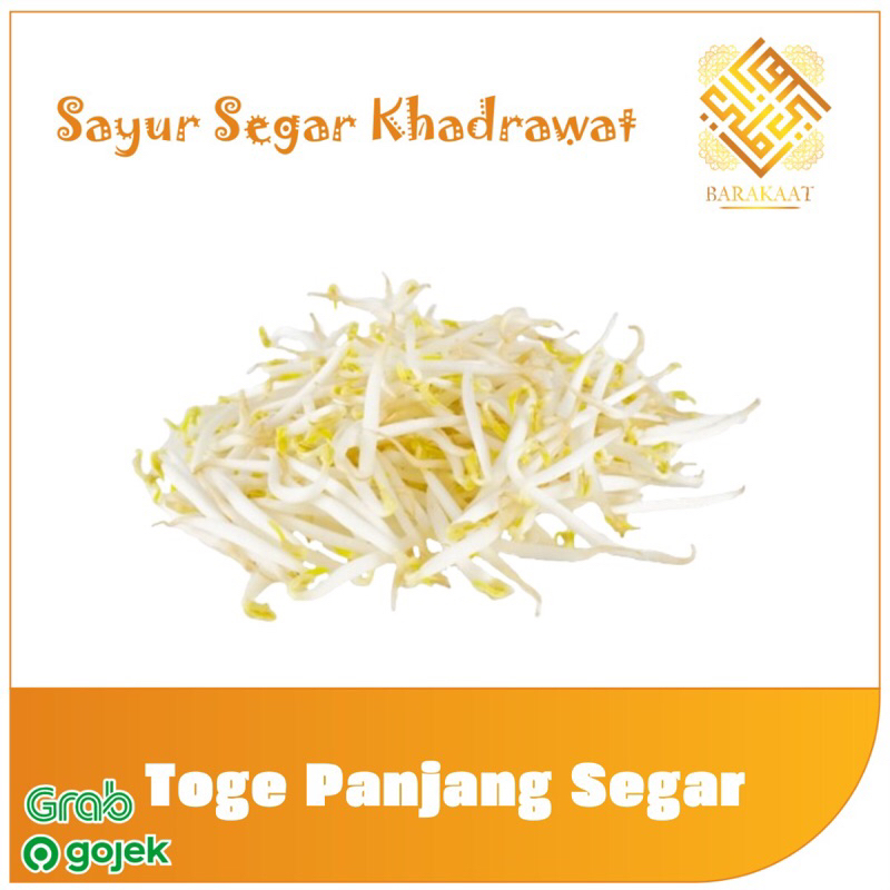 

Toge Segar 250 Gram