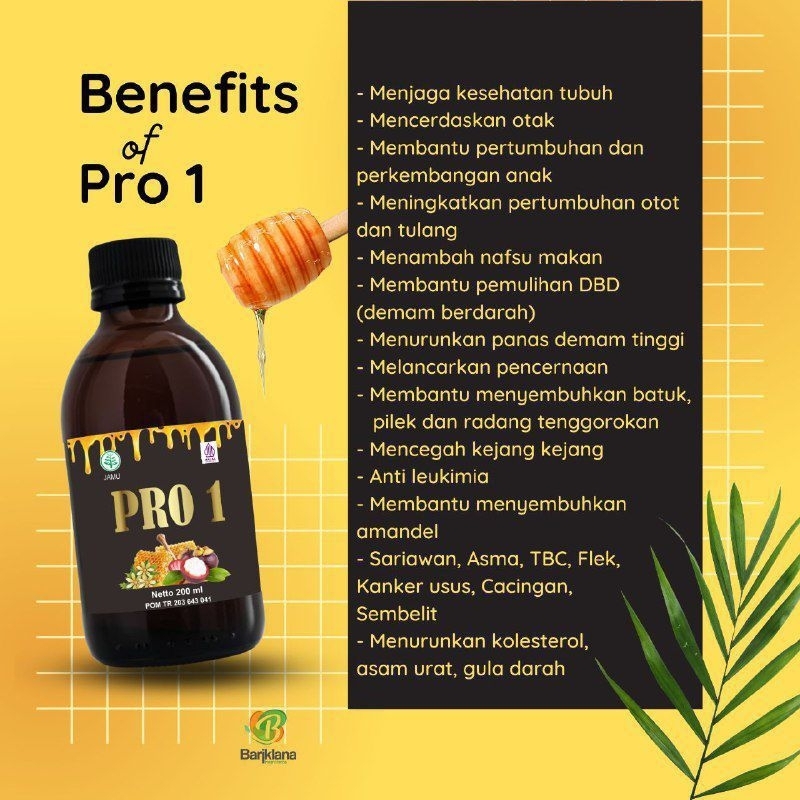 

Herbal Madu Pro 1 Bariklana, Menjaga Stamina, Atasi Kolesterol, Asam Urat, TBC, Sesak Nafas, Menjaga Daya Tahan Tubuh, Kecerdasan Otak