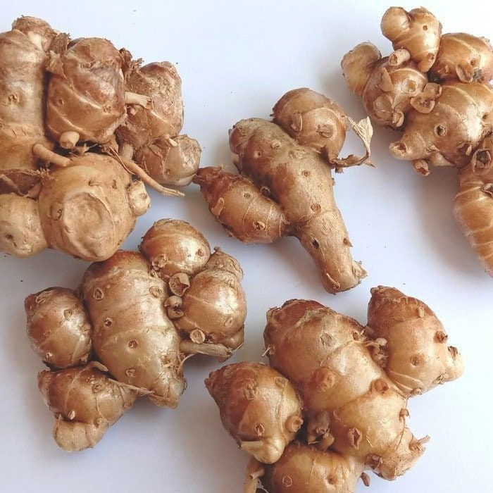 

Kencur 100 gr