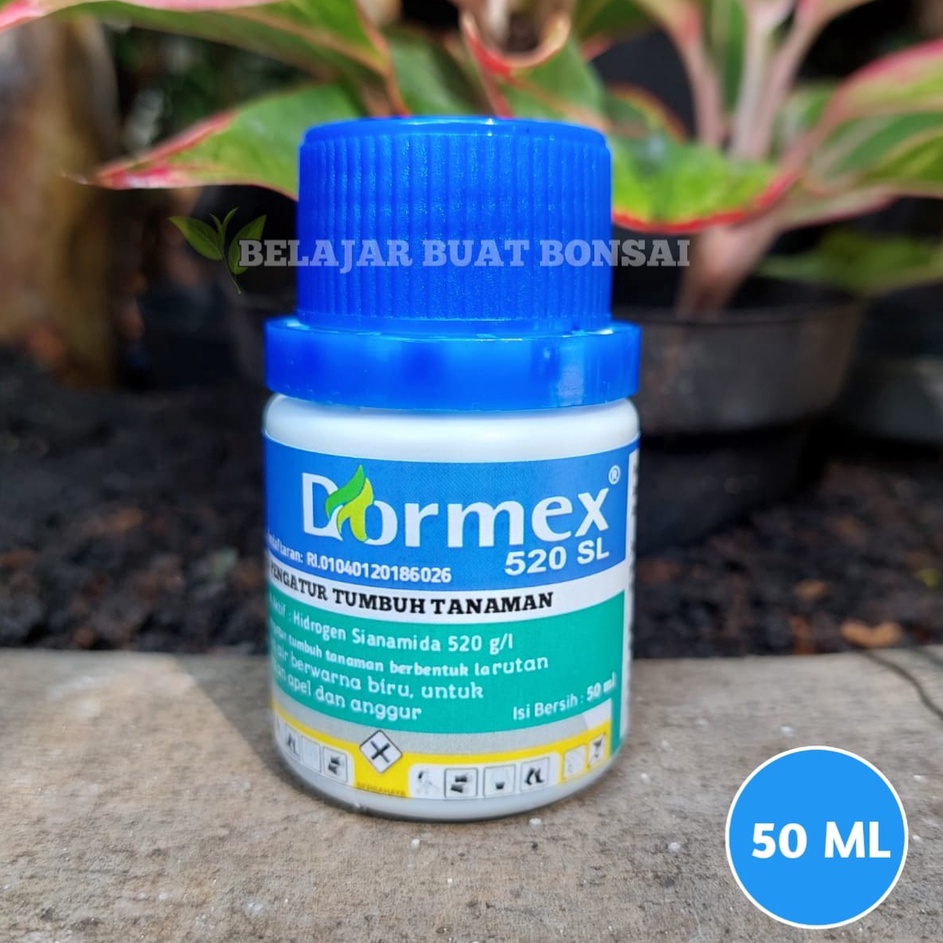 Dormex 52SL Hidrogen Sianamida ZPT Apel Anggur Germany