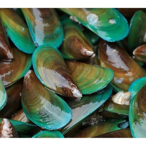 

Kerang Hijau 1 kg fresh