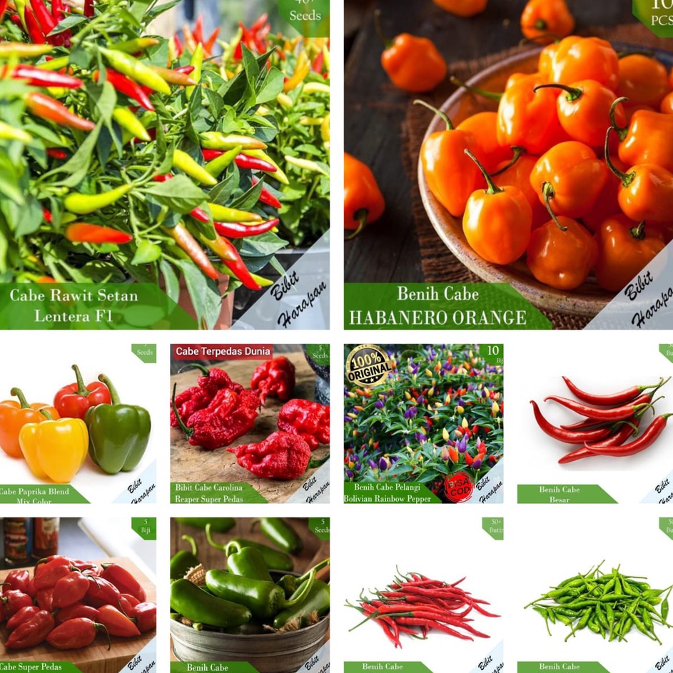 Kirim Langsung Bibit Benih Biji Cabe Cabai Rawit Setan Merah Hijau Unggul Keriting Besar Carolina Re